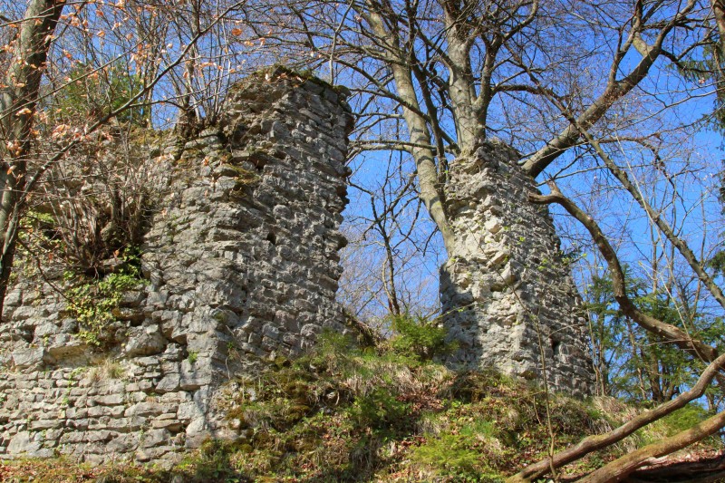 Stari grad ali Divja Loka